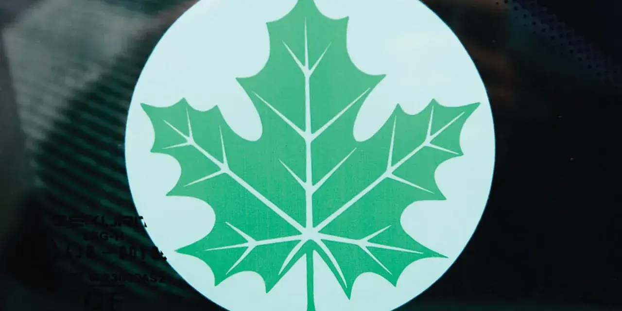 Zielony listek Orlen, symbol ekologii i troski o środowisko, widoczny na szybie.