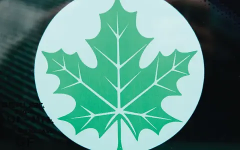 Zielony listek Orlen, symbol ekologii i troski o środowisko, widoczny na szybie.