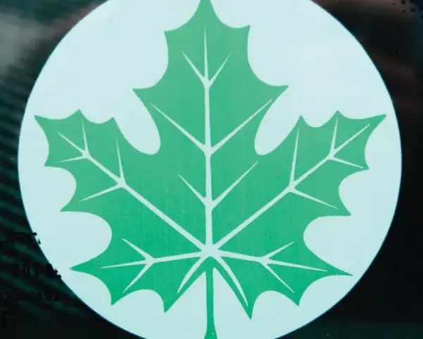 Zielony listek Orlen, symbol ekologii i troski o środowisko, widoczny na szybie.