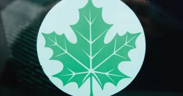 Zielony listek Orlen, symbol ekologii i troski o środowisko, widoczny na szybie.